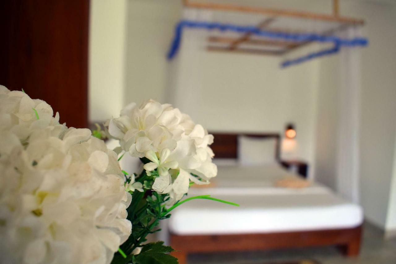 The Chillout Ella Bed & Breakfast エクステリア 写真